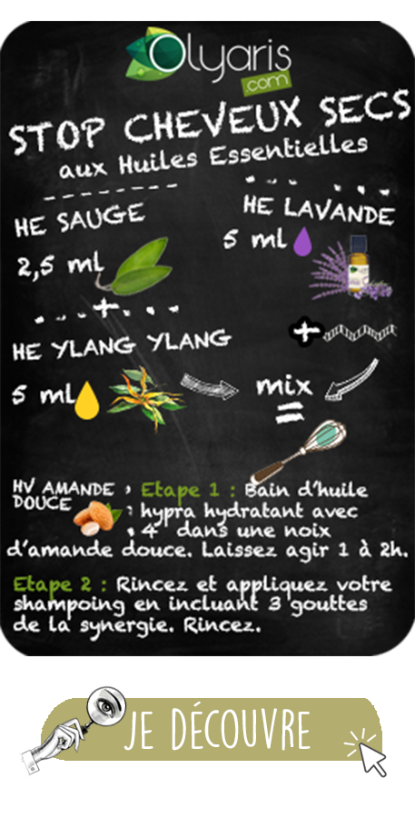 Huile Essentielle de Sauge Sclarée : le Guide Complet par Olyaris